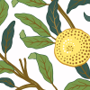 Lemon Garden, Day