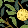 Lemon Garden, Midnight