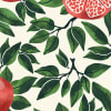 Pomegranate, Green