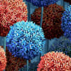 Elysian Flowers, Blue