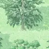 Yggdrasil Forest, Green