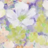 Flowerhaze, Soft