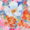 Flowerhaze, Color