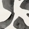 Abstract Motifs, Black & White