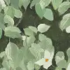 Parkflowers, White