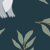 Koala Friends, Night