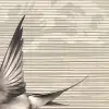 Swallow Sky, Beige