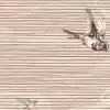 Swallow Sky, Dusty Pink