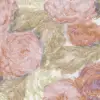 Sol Rosa, Pink