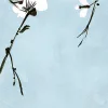 Blush of Spring, Blue