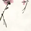 Blush of Spring, Pink