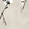 Blush of Spring, White