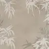 Bambusa, Beige
