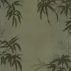 Bambusa, Green