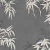 Bambusa, Gray