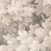 Vintage Foliage, Beige