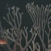 Coral World, Night