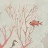 Coral World, Day