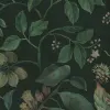 Tropical Harmony, Dark