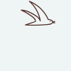 Flying Birds, Light Blue