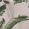Tropical Butterflies, Day