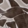 Tropical Breeze, Brown