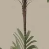 Palm Stripes, Vintage