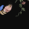 Birds in the Trees, Black