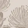 Protea Bloom, Soft Gray