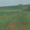 Poppy Landscape, Summer