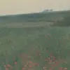 Poppy Landscape, Dawn