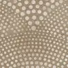 Shimmer Fan, Beige