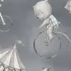 Circus Dream, Gray