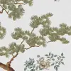 Pine Grove, White