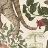 Animal Specials, Beige