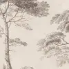 Tree Studies, Graphite
