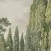 Tall Grove, Green