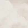 Majestic Clouds, Beige
