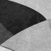 Shapes and Forms, Gray