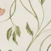 Peony Bloom, Pink