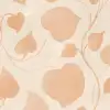 Eternal Vine, Peach