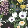 Playful Meadow, Black