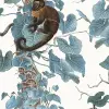 Monkey Climbers, Blue
