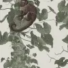 Monkey Climbers, Beige
