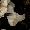 Bouquet of Roses, Vintage