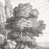 Etching Park, Black