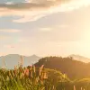 Sunrise Hills, Soft