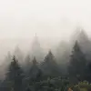 Hazy Hill, Morning