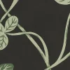Clover Bloom, Black