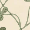 Clover Bloom, Green